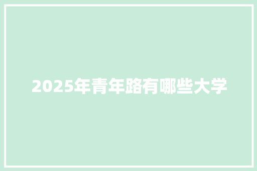 2025年青年路有哪些大学