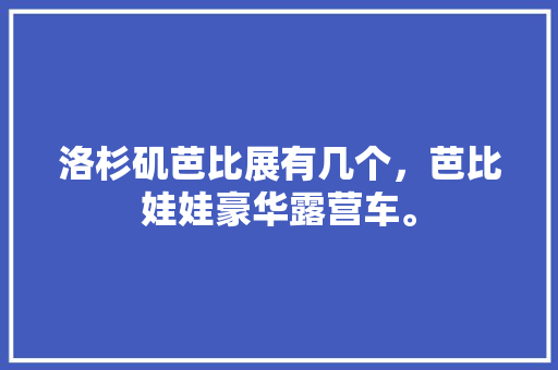 202414667大学排名