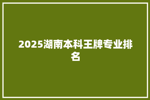 2025湖南本科王牌专业排名