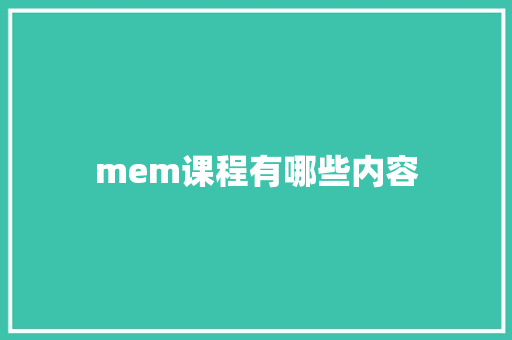 mem课程有哪些内容