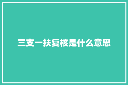 三支一扶复核是什么意思