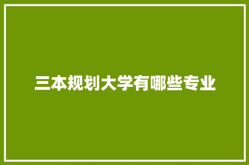 三本规划大学有哪些专业