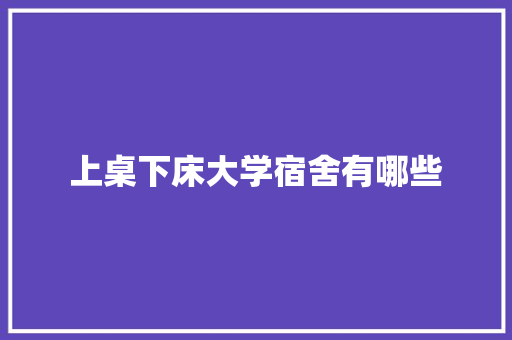 上桌下床大学宿舍有哪些