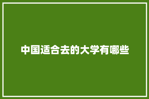 中国适合去的大学有哪些