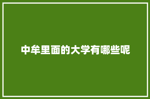 中牟里面的大学有哪些呢