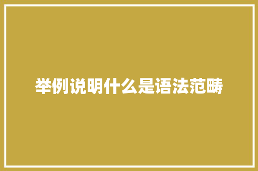 举例说明什么是语法范畴