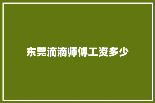 东莞滴滴师傅工资多少