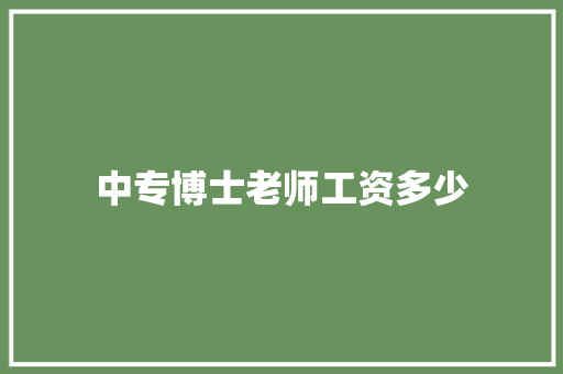 中专博士老师工资多少