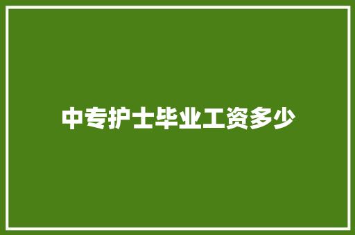 中专护士毕业工资多少