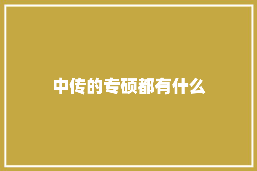 中传的专硕都有什么