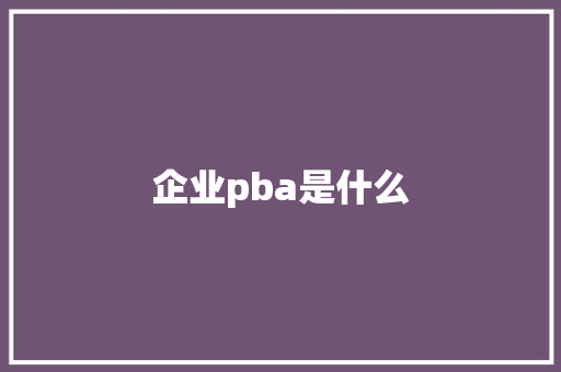 企业pba是什么