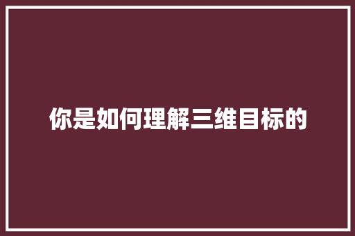 你是如何理解三维目标的