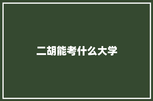 二胡能考什么大学