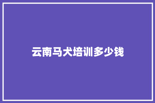 云南马犬培训多少钱