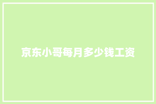 京东小哥每月多少钱工资