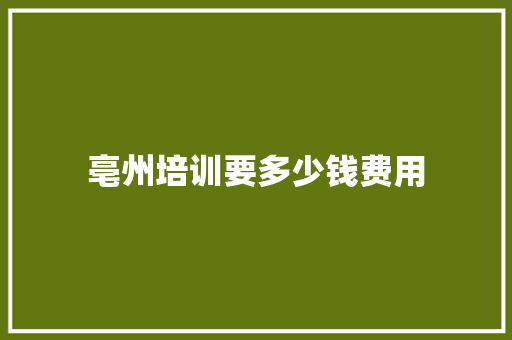 亳州培训要多少钱费用