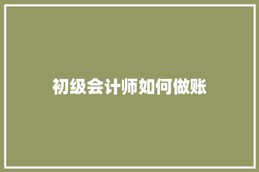 初级会计师如何做账