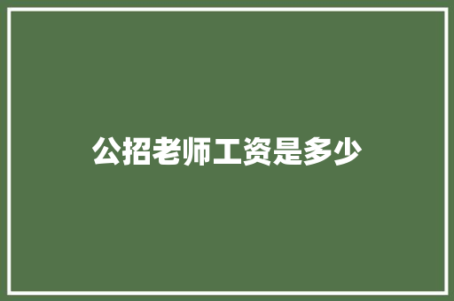 公招老师工资是多少