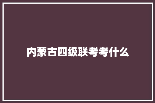 内蒙古四级联考考什么