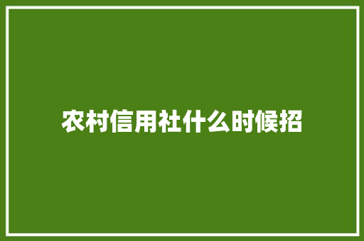 农村信用社什么时候招