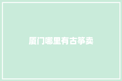 厦门哪里有古筝卖