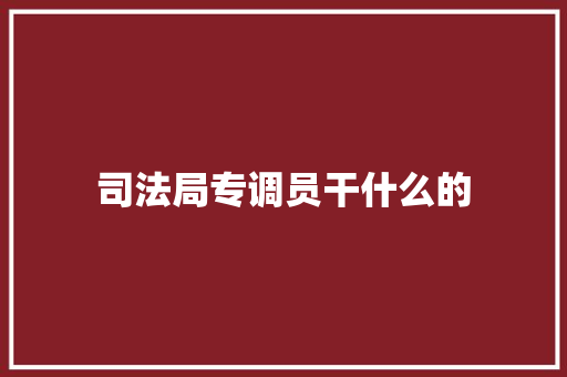 司法局专调员干什么的