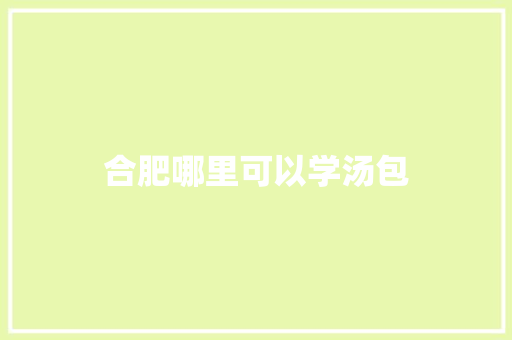 合肥哪里可以学汤包