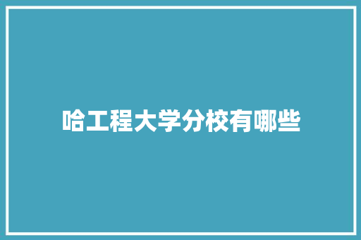 哈工程大学分校有哪些