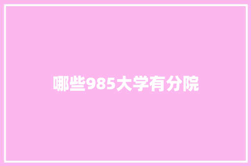 哪些985大学有分院