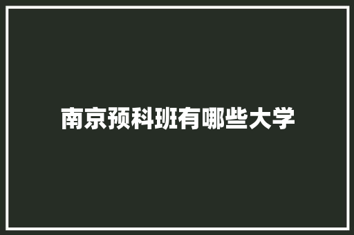 南京预科班有哪些大学