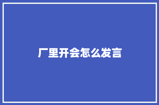 厂里开会怎么发言