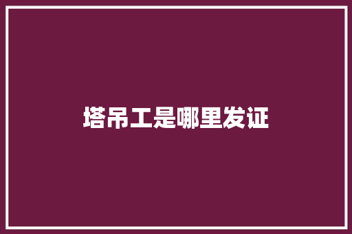 塔吊工是哪里发证