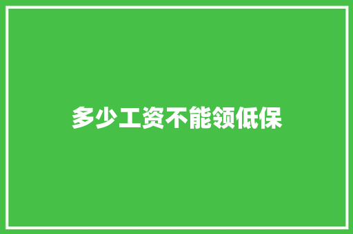 多少工资不能领低保