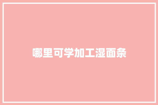 哪里可学加工湿面条