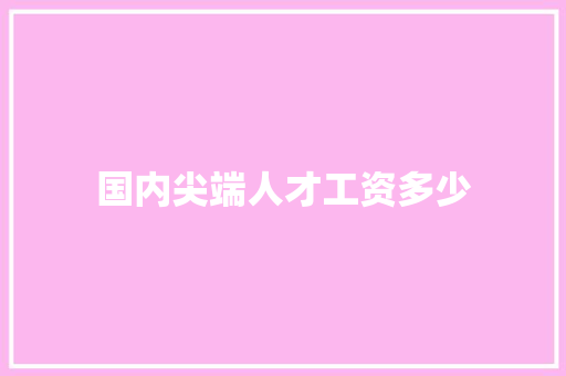 国内尖端人才工资多少