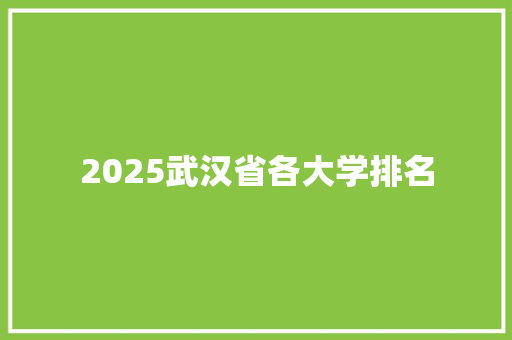 2025武汉省各大学排名