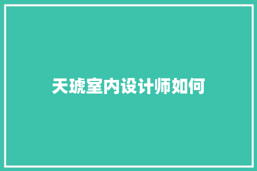 天琥室内设计师如何