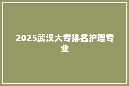 2025武汉大专排名护理专业