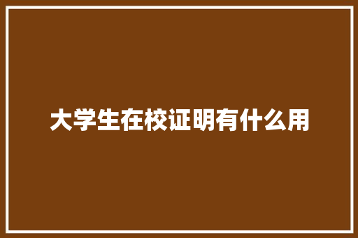 大学生在校证明有什么用