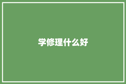学修理什么好