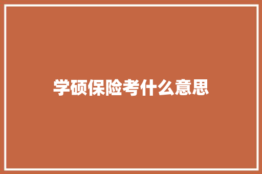 学硕保险考什么意思