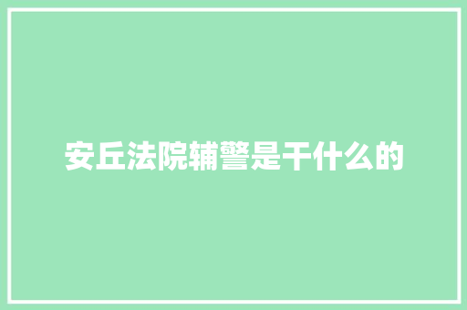 安丘法院辅警是干什么的