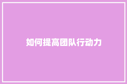 如何提高团队行动力