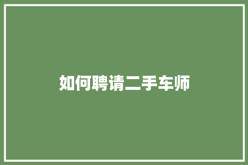 如何聘请二手车师