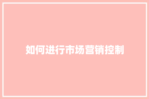 如何进行市场营销控制