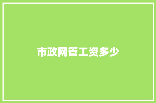 市政网管工资多少