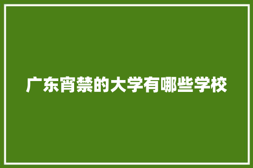 广东宵禁的大学有哪些学校