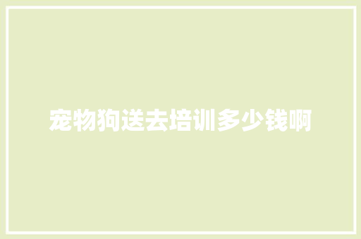 宠物狗送去培训多少钱啊