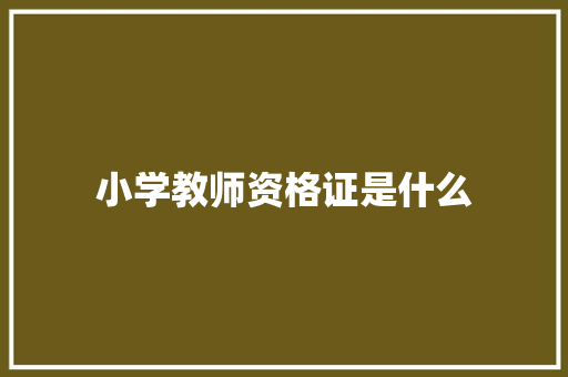 小学教师资格证是什么