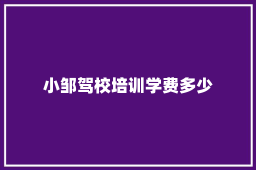 小邹驾校培训学费多少